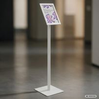 morepic-6